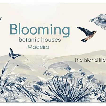 Blooming Botanic Houses Estreito Da Calheta Luaran gambar