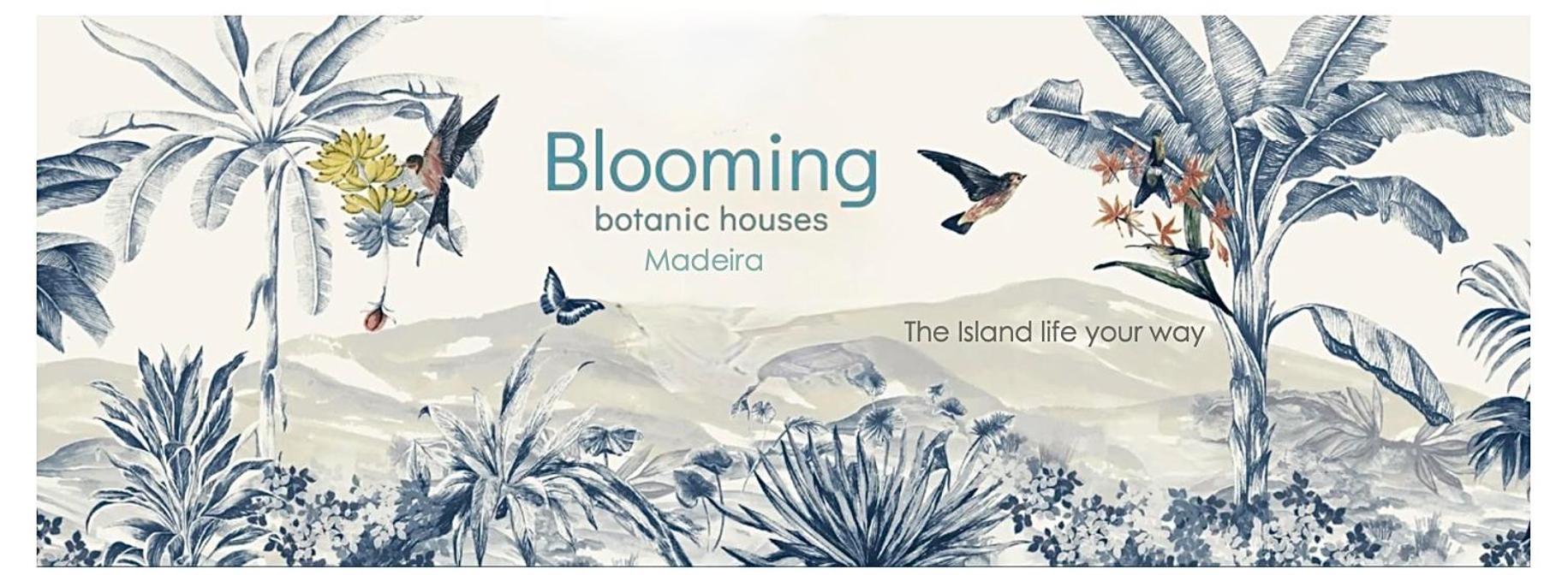 Blooming Botanic Houses Estreito Da Calheta Luaran gambar