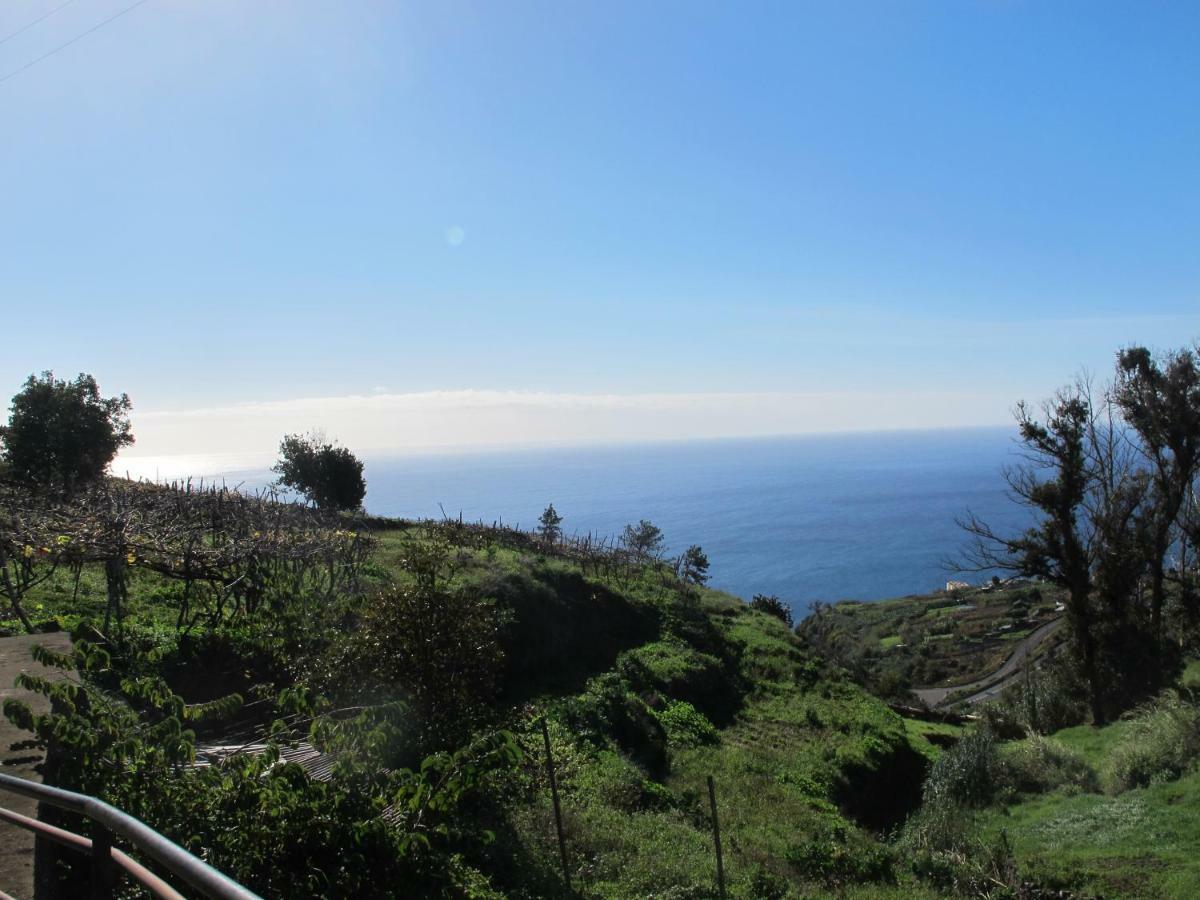 Blooming Botanic Houses Estreito Da Calheta Luaran gambar