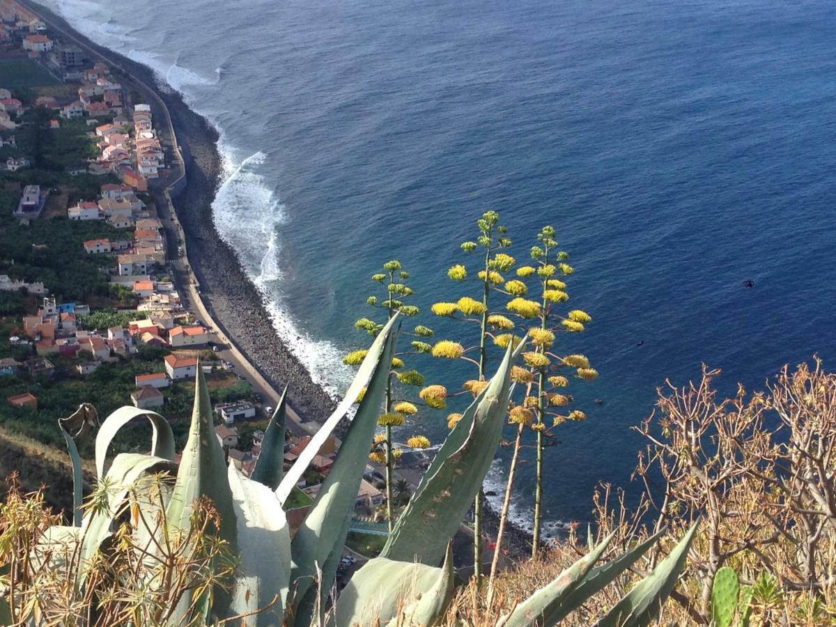 Blooming Botanic Houses Estreito Da Calheta Luaran gambar