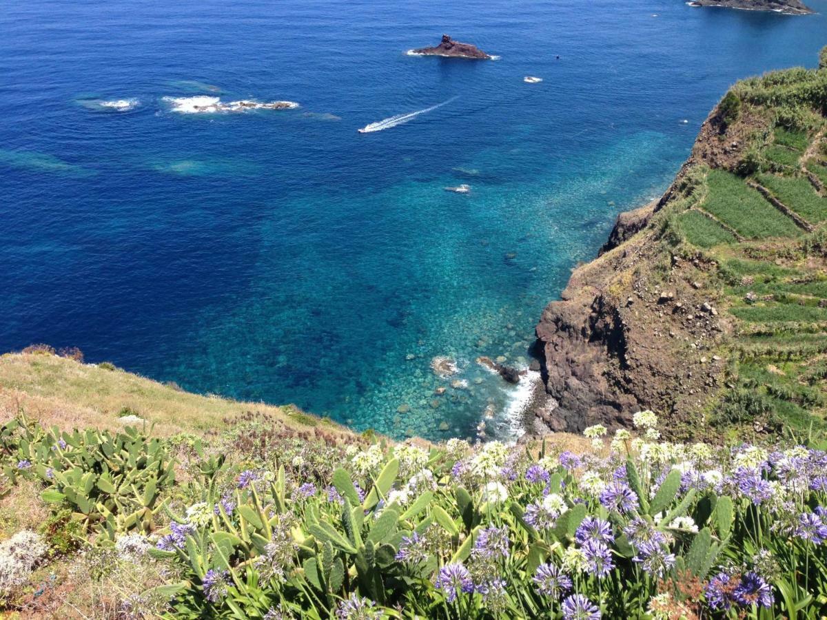Blooming Botanic Houses Estreito Da Calheta Luaran gambar