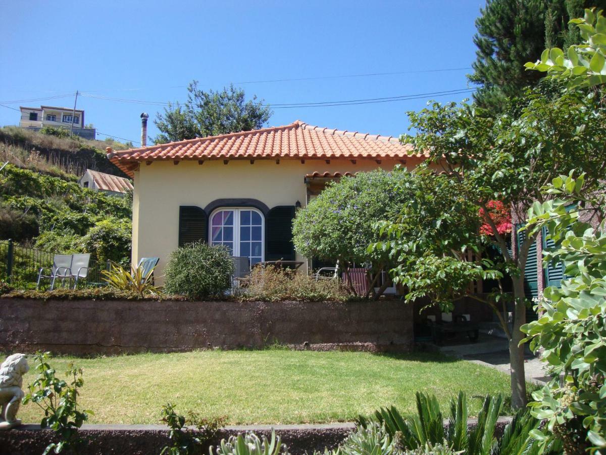 Blooming Botanic Houses Estreito Da Calheta Luaran gambar