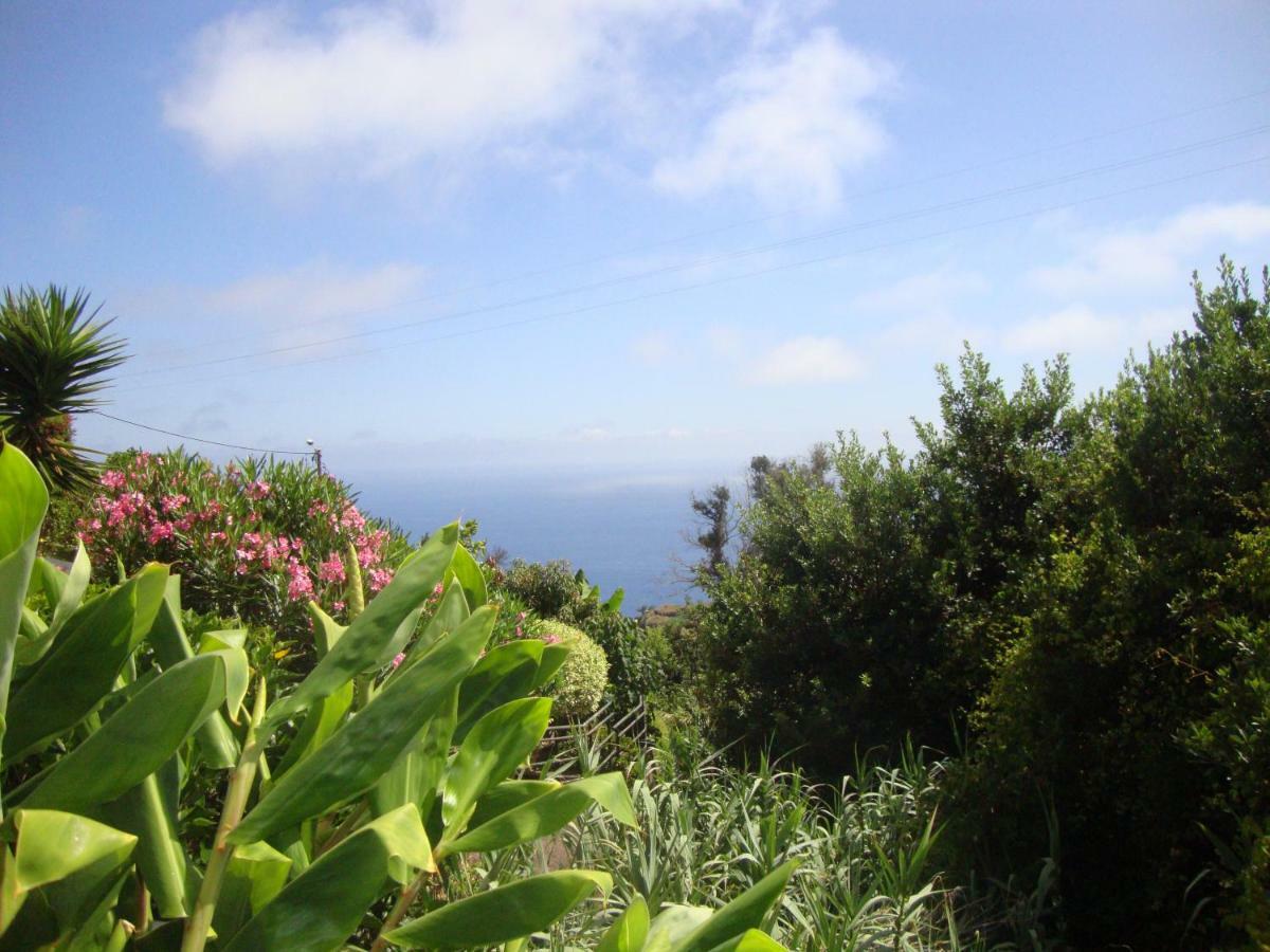 Blooming Botanic Houses Estreito Da Calheta Luaran gambar