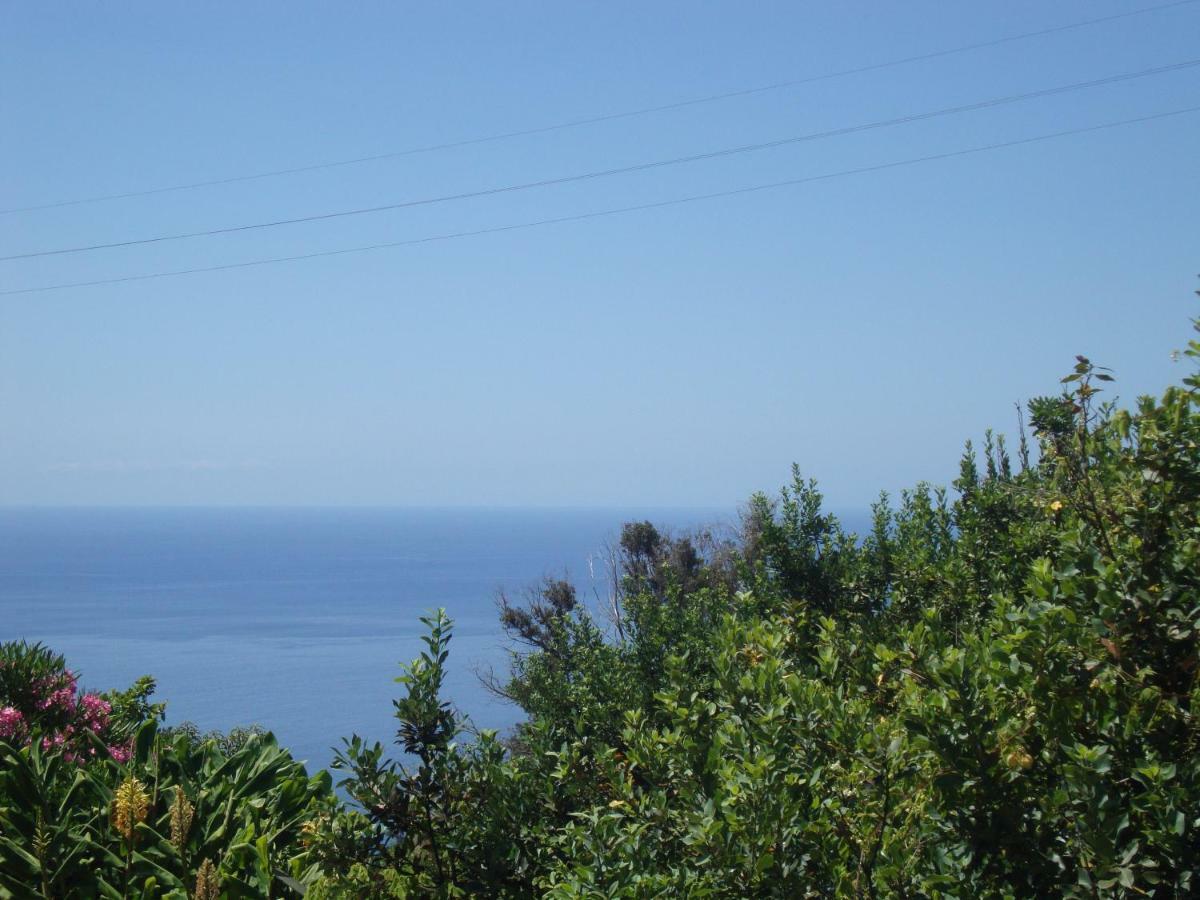 Blooming Botanic Houses Estreito Da Calheta Luaran gambar