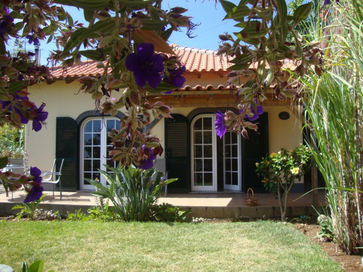 Blooming Botanic Houses Estreito Da Calheta Luaran gambar